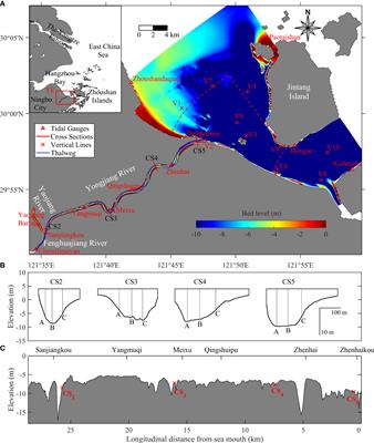 Exploring the three-dimensional flow-sediment dynamics and trapping mechanisms in a curved estuary: The role of salinity and circulation